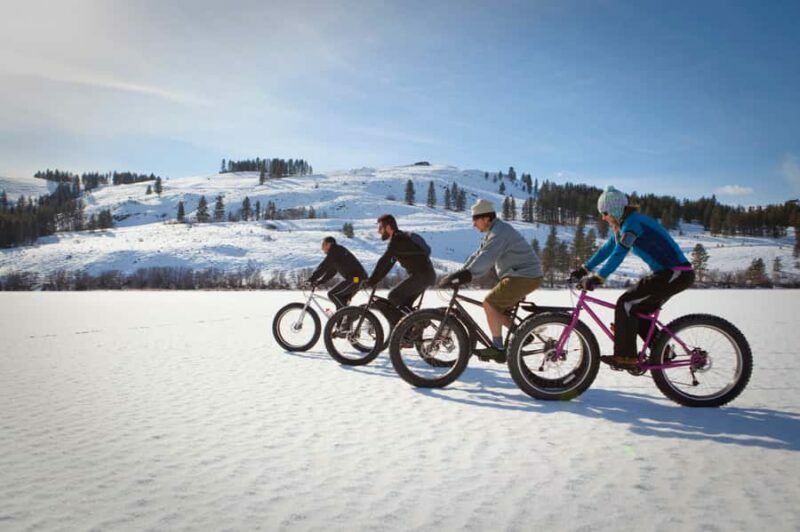 Montréal: Electric Fat Tire Bike Ride on Mount Royal - Key Points