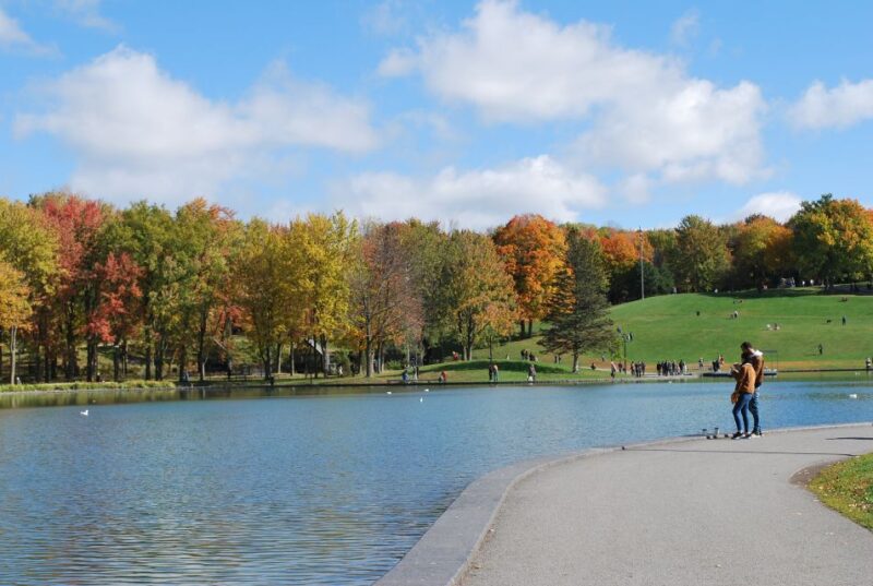 Montreal: Full-Day Small Group City Tour - Key Points