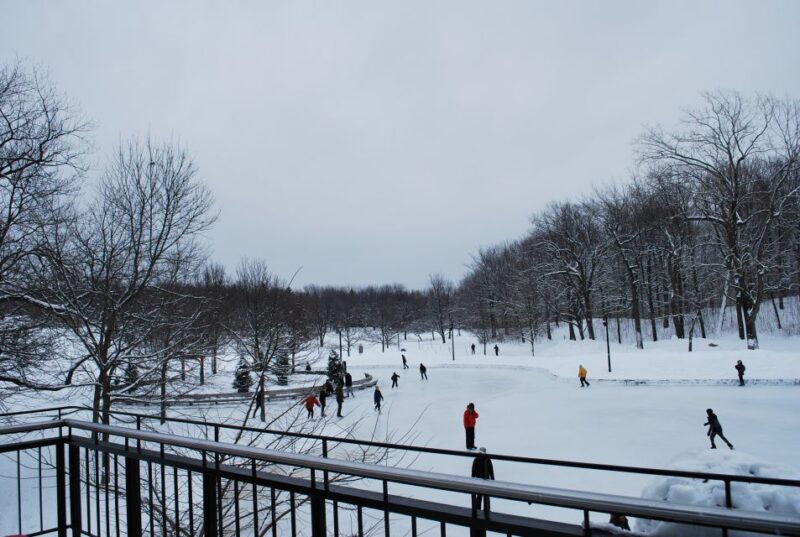 Montreal: Full-Day Small Group City Tour - Pickup and Transportation