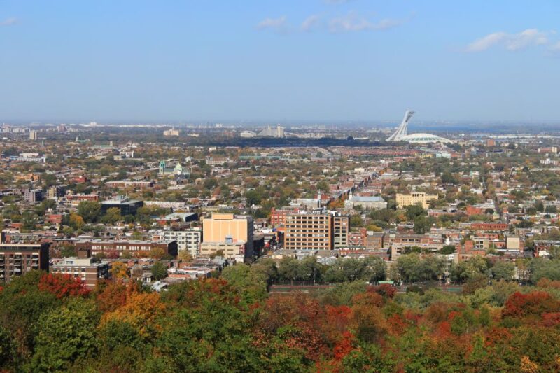 Montreal: Full-Day Small Group City Tour - Guide Qualifications
