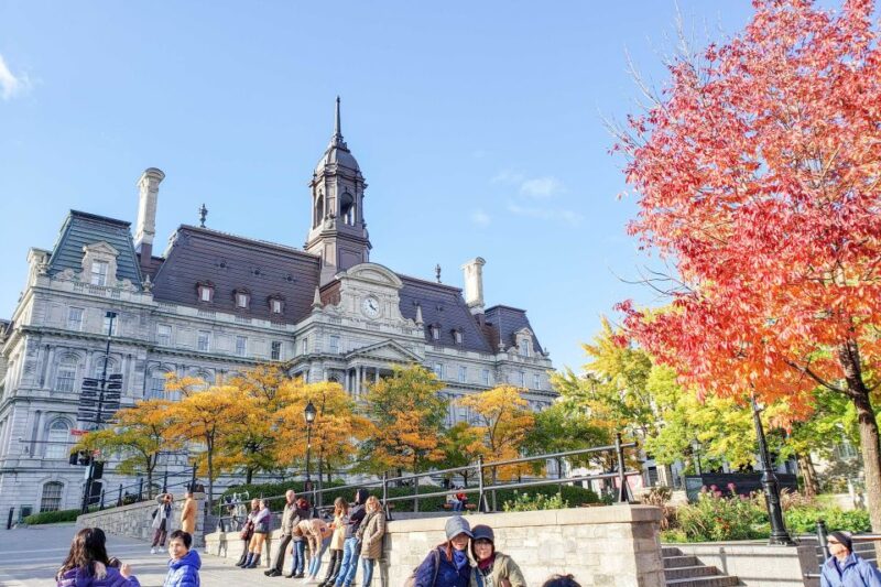 Montreal: Guided Bus Tour - Panoramic Views of the St. Lawrence