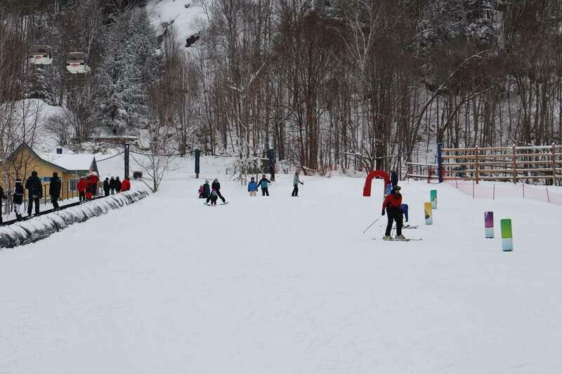 Montreal: Guided Skiing in Quebec Forests - Key Points