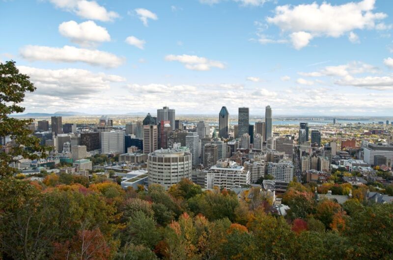 Montreal: Half-Day City Tour - Itinerary