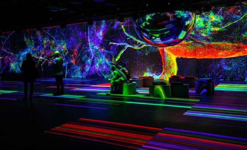 Montreal: OASIS Immersion Entry Ticket - Visitor Accessibility