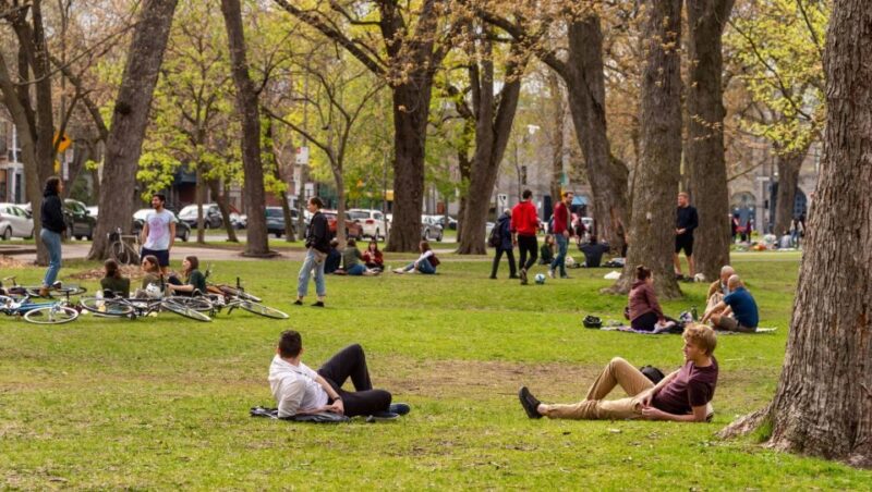 Montreal: Private Highlights & Hidden Gems Tour With a Local - Scenic Vistas