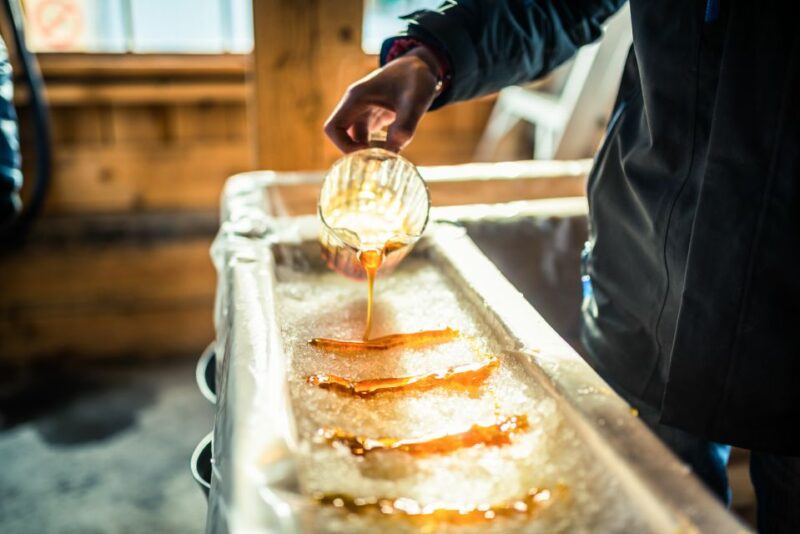 Montreal: Sugar Shack Maple Syrup Day Trip With Lunch - Transportation and Logistics