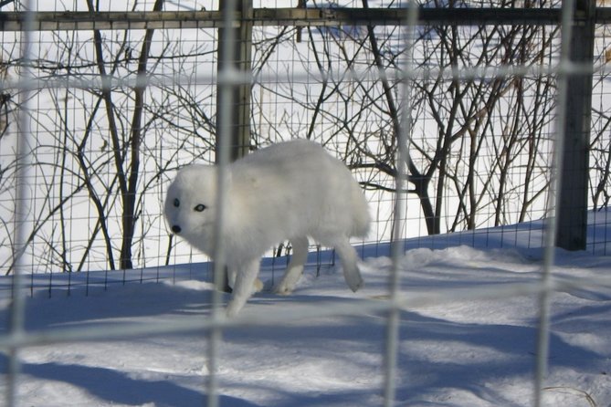 Montreal Zoo, Private Half Day Tour - Cancellation Policy