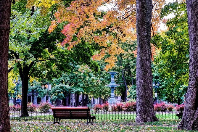 Montreals Plateau Mont-Royal and Mile End Tour by MTL Detours - Private Tour Option