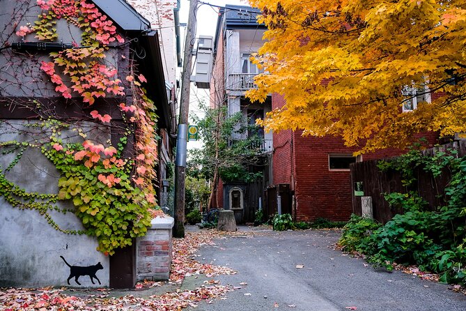 Montreals Plateau Mont-Royal and Mile End Tour by MTL Detours - Additional Information