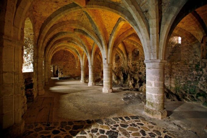 Montreux: Chateau Chillon Entrance Ticket - Gothic-style Vaults and Rooms