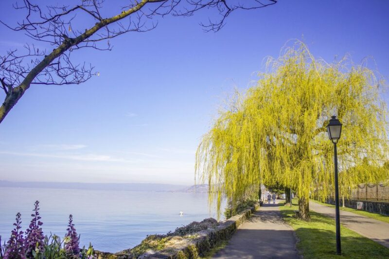 Montreux: Express Walk With a Local in 60 Minutes - Tour Highlights