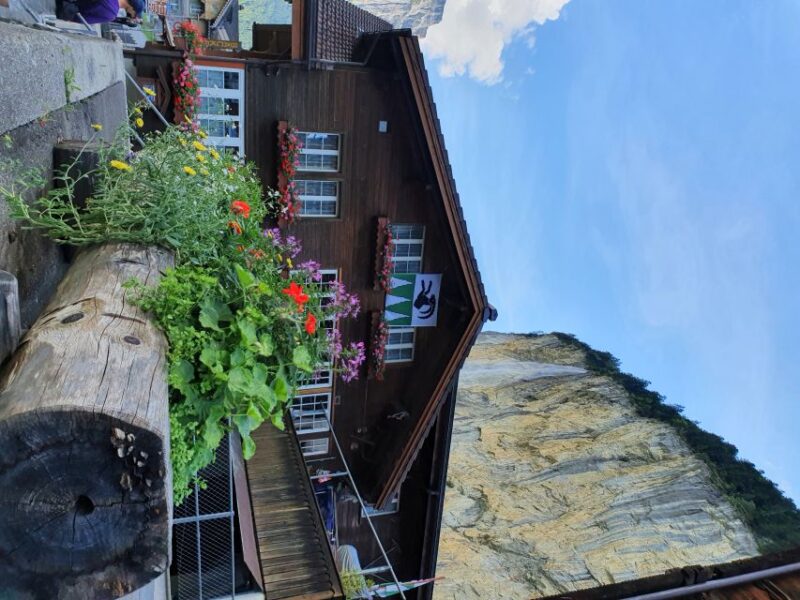 Montreux Private Tour: Waterfalls Valley&Aareschlucht Gorge - Key Points