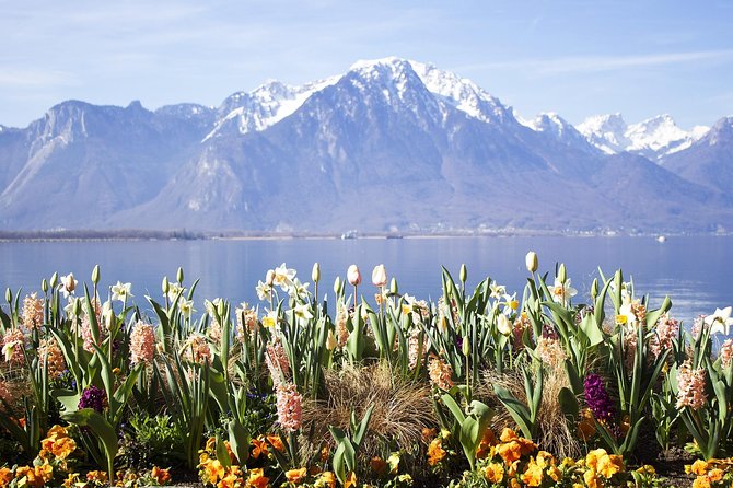 Montreux - Private Tour With a Visit to Chillon Castle - Private Group Experience