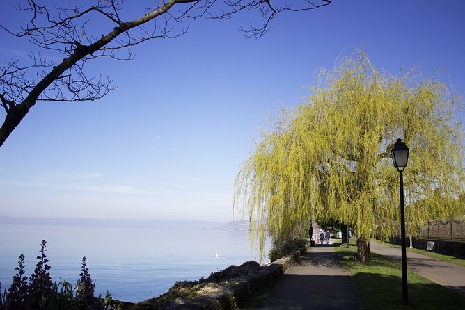 Montreux - Private Tour With a Visit to Chillon Castle - Tour Operator and Pricing