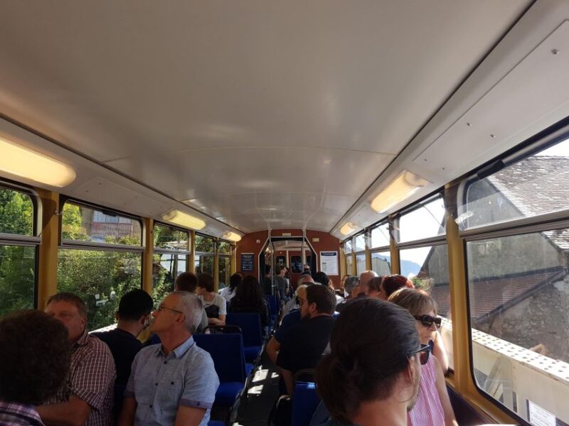 Montreux to Rochers-de-Naye: Alpine Adventure Ticket - Rochers-de-Naye Alpine Garden