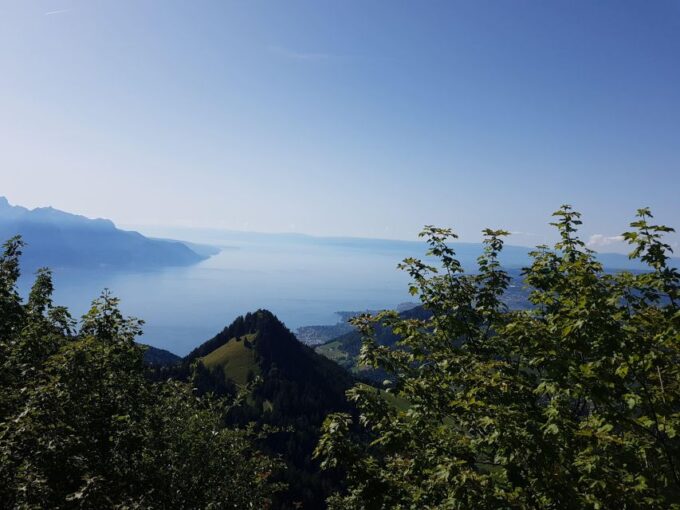 Montreux to Rochers-de-Naye: Alpine Adventure Ticket - Panoramic Views at the Summit