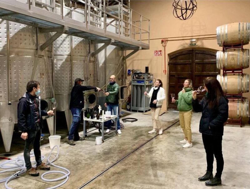 Montrubi Winery Tour, Tasting Menu With Wine Pairing - Key Points