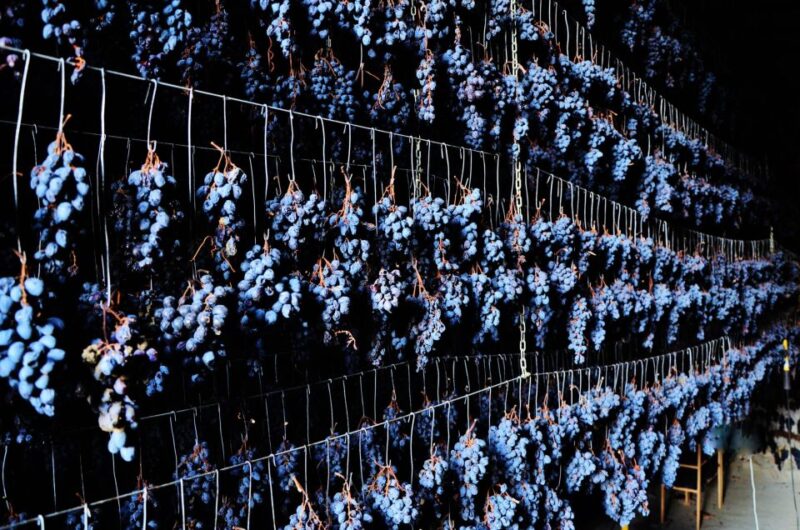 Montrubi Winery Tour, Tasting Menu With Wine Pairing - Exquisite Tasting Menu