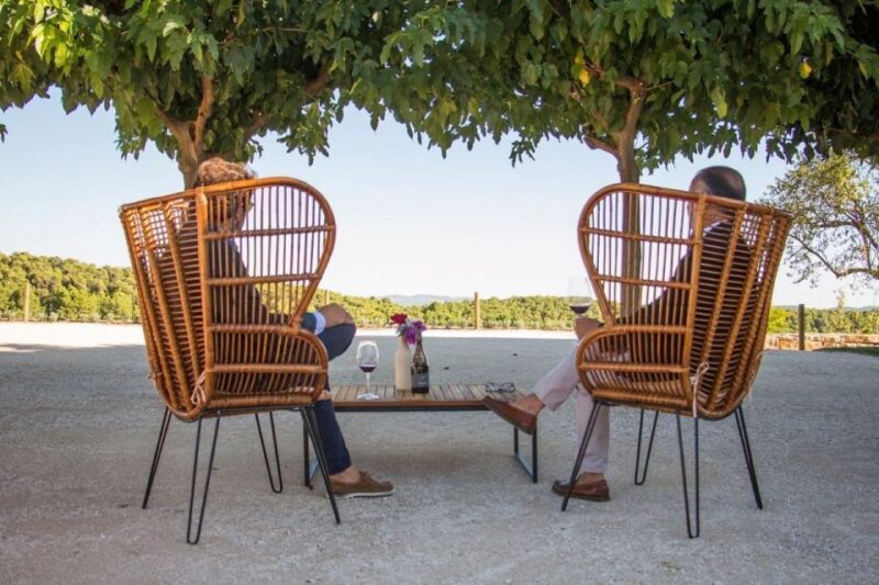 Montrubi Winery Tour, Tasting Menu With Wine Pairing - Wine Grape Varieties