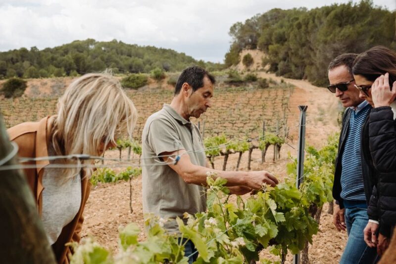Montserrat & Cava Winery Tour: Day Trip From Barcelona - Surrounding Site Exploration