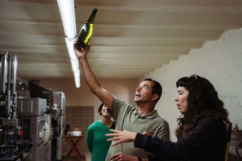 Montserrat & Cava Winery Tour: Day Trip From Barcelona - Penedes Wine Region Winery