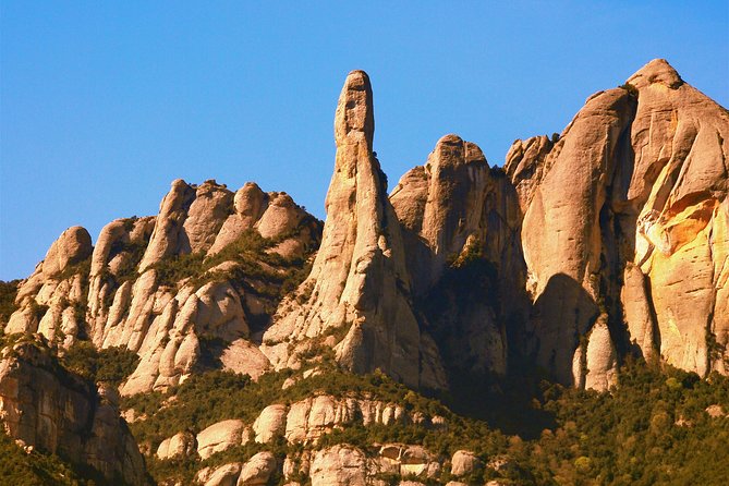 Montserrat Half Day With Cable Car and Easy Hike From Barcelona - Discovering the Montserrat Atrium