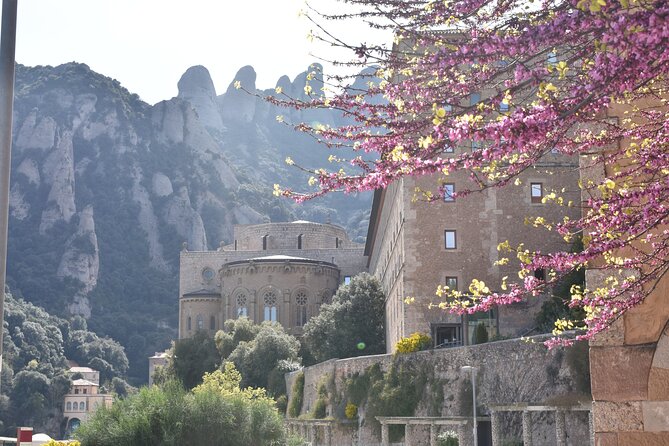 Montserrat Mountain Hiking Tour to Sant Jeroni, Small Group - Tour Schedule and Accessibility
