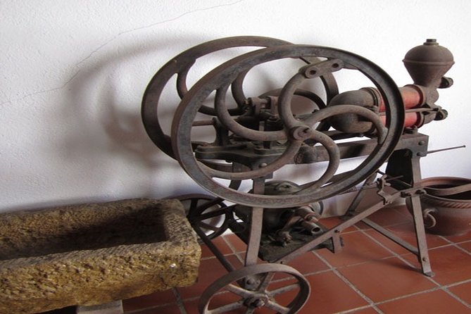 Montserrat + Wine Celler Penedés Tour - What to Expect