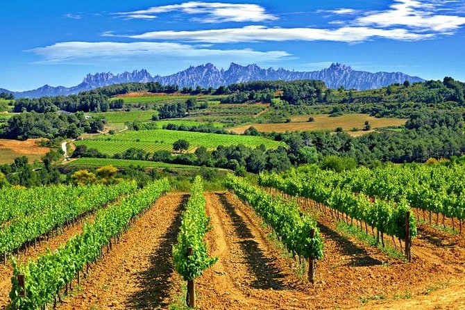 Montserrat,Vineyard, Wine Tasting Small Group Tour & Hotel Pickup - Additional Tour Information