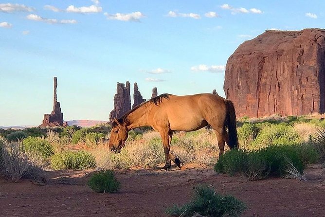Monument Valley Daytime Tour - 3 Hours - Navajo Spirit Tours - Explore Restricted Areas