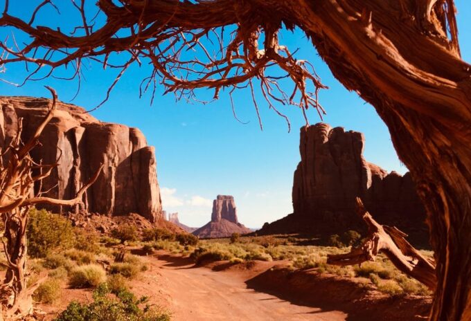 Monument Valley: Highlights Tour With Backcountry Access - Navajo Culture and Traditions