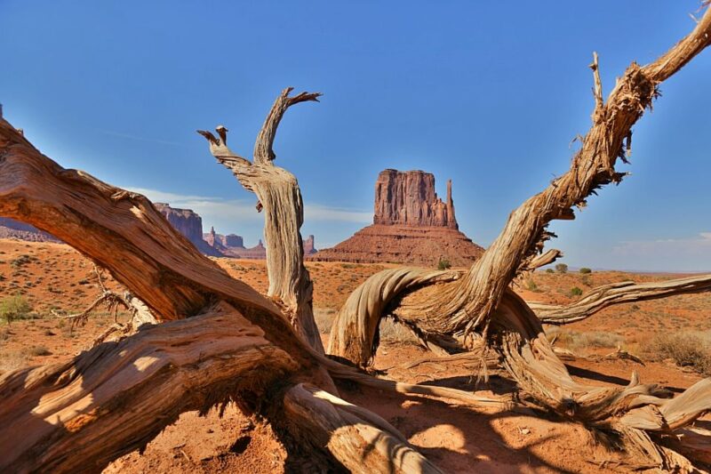 Monument Valley: Scenic 2.5-Hour Guided Tour - What to Bring and Prohibited Items