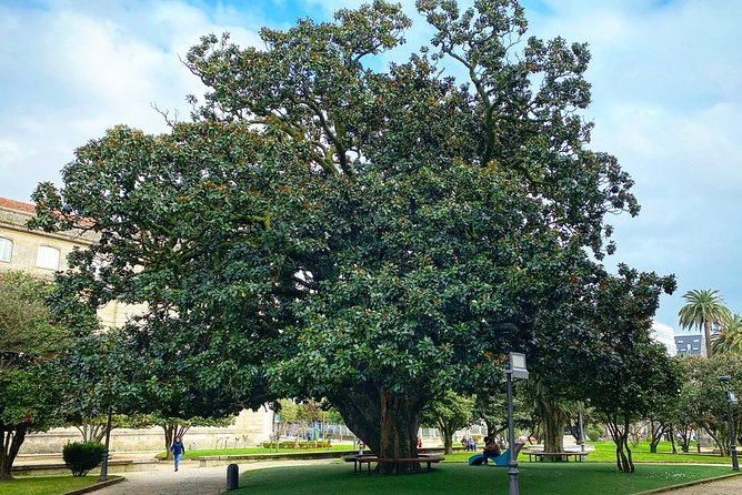 Monumental Morning Walking Tour in Pontevedra - Highlights of the Walking Tour