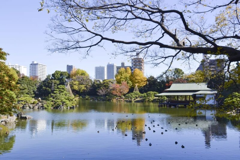 Monzen-Nakacho: Walking Tour With Sashimi Lunch & Teamlab - Kiyosumi Gardens