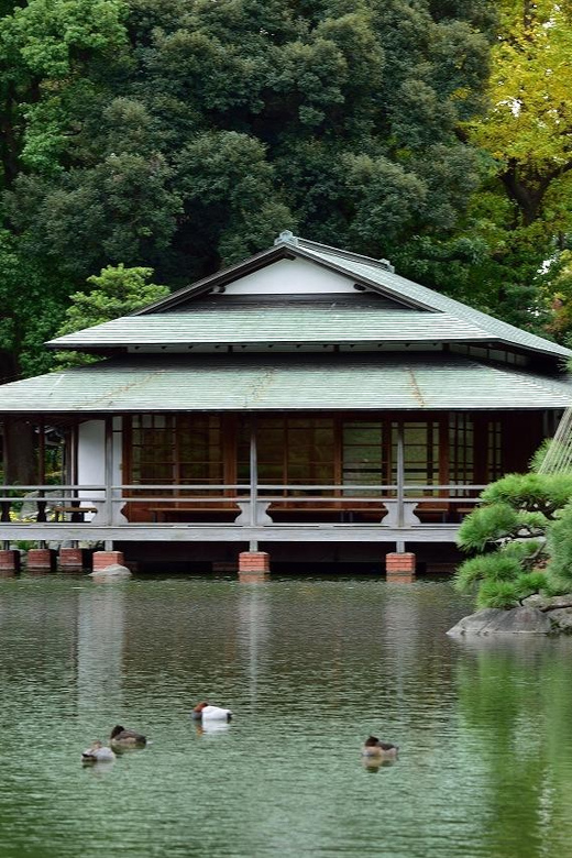 Monzen-Nakacho: Walking Tour With Sashimi Lunch & Teamlab - Naritasan Fukagawa Fudo-do