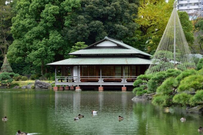Monzen-Nakacho: Walking Tour With Sashimi Lunch & Teamlab - Sashimi Lunch at Iroha