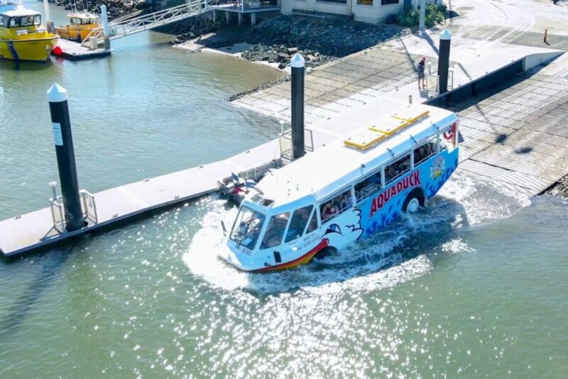 Mooloolaba: 1-Hour Land and Water Tour - Key Points