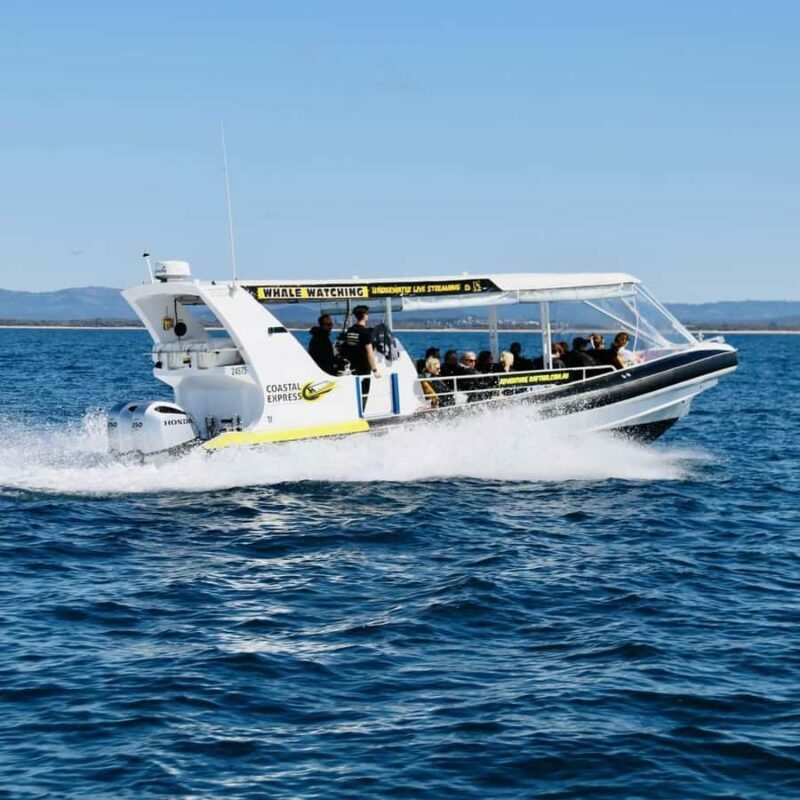 Mooloolaba: 2-Hour Whale Watching Adventure - FAQ