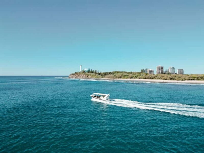 Mooloolaba: Adventure Rafting Turtle Tour - Key Points