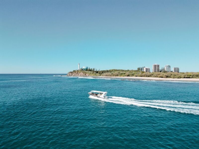 Mooloolaba: Adventure Rafting Turtle Tour - Booking Information