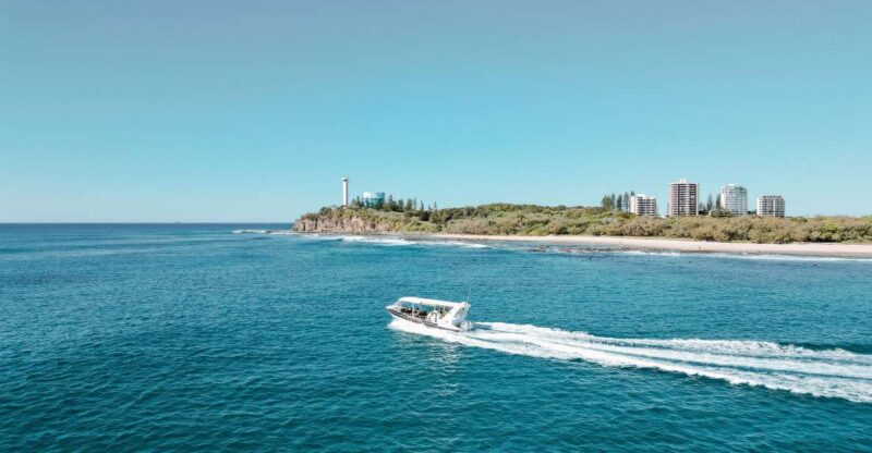 Mooloolaba: Adventure Rafting Turtle Tour - Safety and Requirements