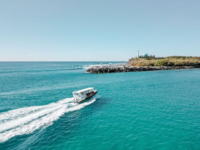 Mooloolaba: Adventure Rafting Turtle Tour - Customer Feedback