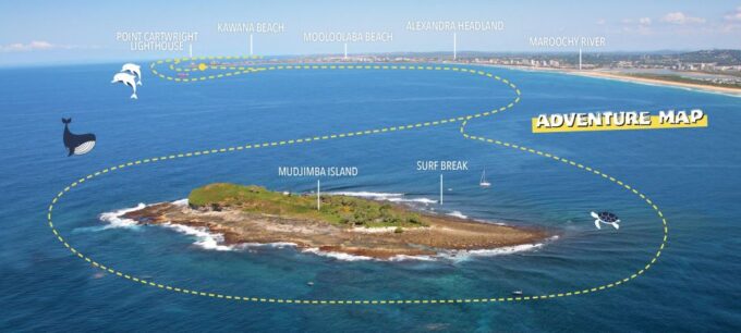 Mooloolaba: Adventure Rafting Turtle Tour - Coastal Exploration and Wildlife Spotting