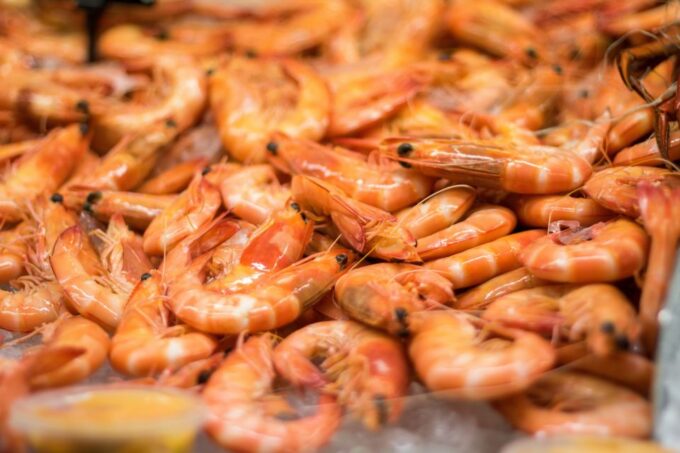 Mooloolaba: Seafood Lunch Cruise - Recap