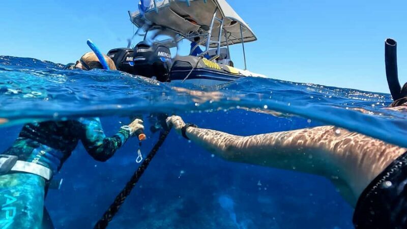 Mooloolaba: Turtle Snorkel & Swim at Mudjimba Island - FAQs