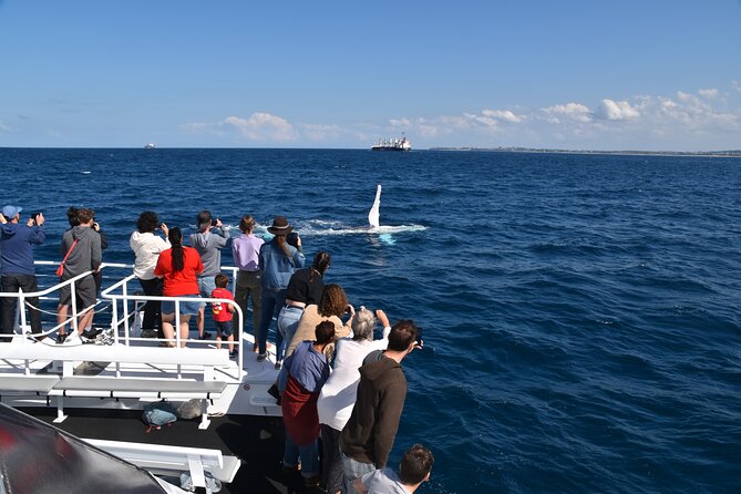 Mooloolaba Whale Watching Cruise - Transportation and Accessibility