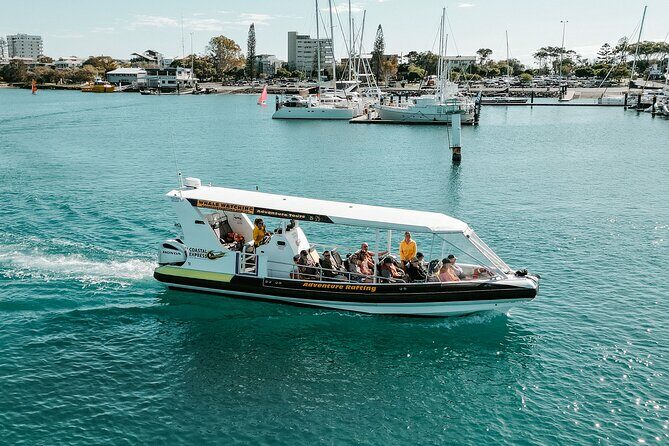Mooloolaba Whale Watching  Small Group Tour - Key Points