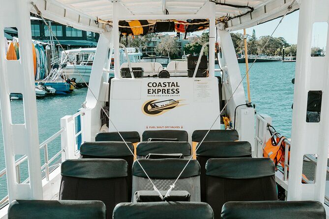 Mooloolaba Whale Watching  Small Group Tour - Insights from Reviews
