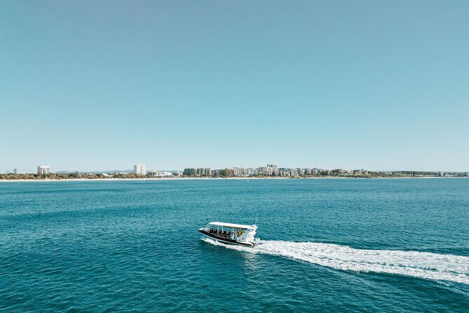 Mooloolaba Whale Watching  Small Group Tour - The Sum Up