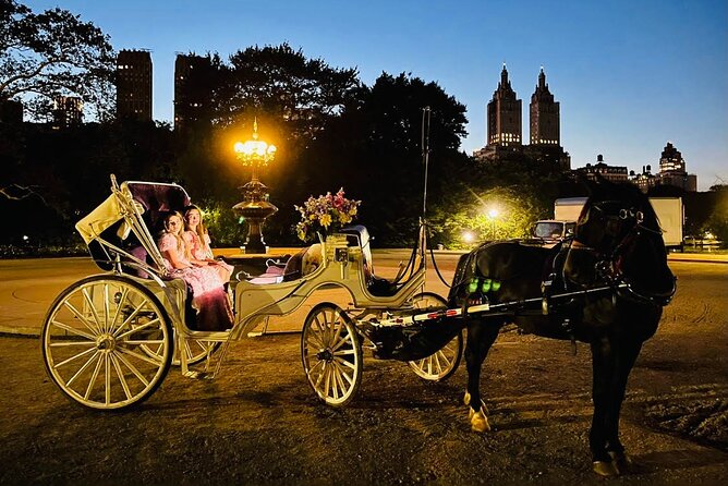MOONLIGHT RIDE Central Park With Photo (45 Min) ~ Skip the Line - Landmark Sites to Explore